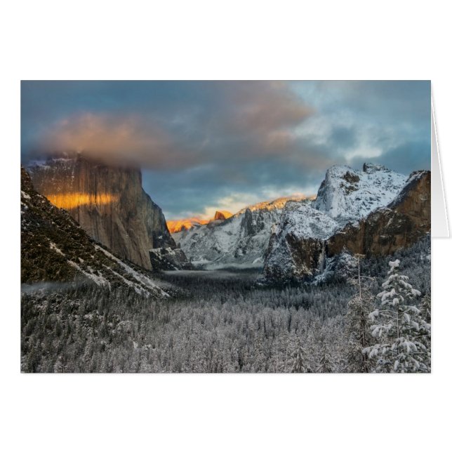 La marque de l'hiver (Devant horizontal)