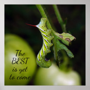 La meilleure affiche de Caterpillar à venir