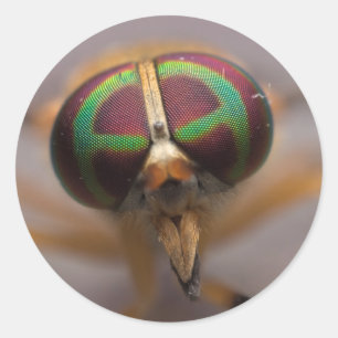 La Mouche Jaune des Stickers Visage Désastreux du 