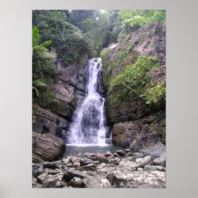 La Myna Falls Poster (Vorne)
