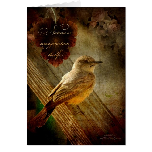 La nature est l'imagination (Devant)