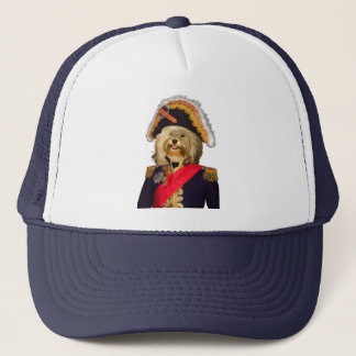 La noblesse de casquette de Havanese poursuit le