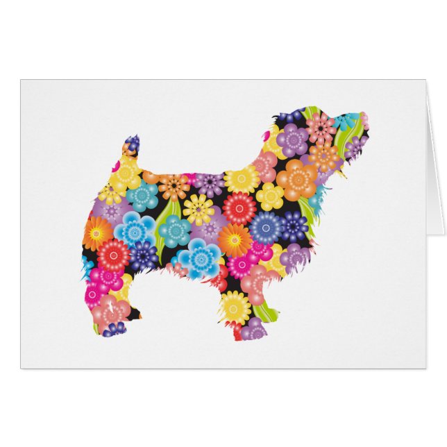 La Norfolk Terrier (Devant horizontal)