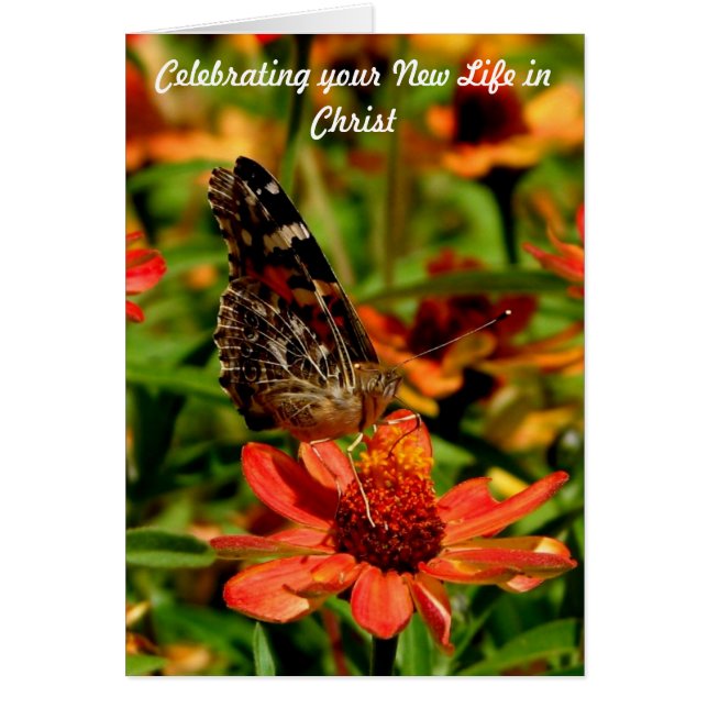 La nouvelle vie en Christ (Devant)