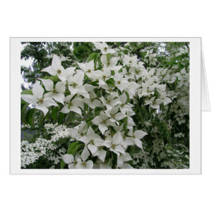 La nouvelle vie heureuse ensemble