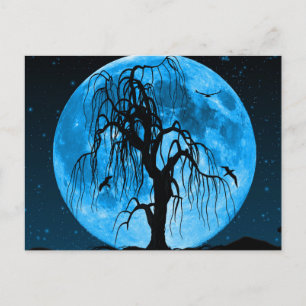 La nuit d'Halloween effrayante avec carte postale 