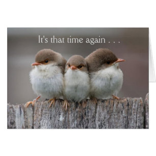 La nuit drôle de filles cardent