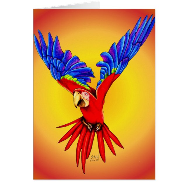 Là où suis je supposez pour débarquer (Devant)