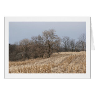 La paille met en place les cartes vierges