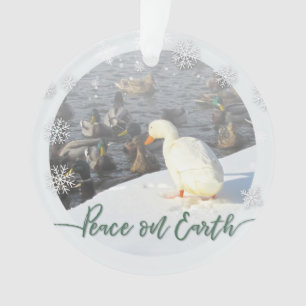 La Paix sur Terre