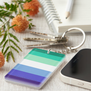 La palette de drapeau des hommes gays trans-inclus