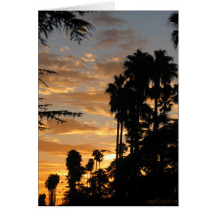 LA Palm Tree Sunset Art Card