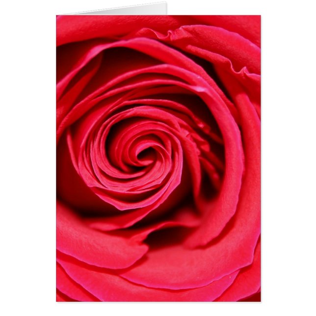 La passion s'est levée (Devant)