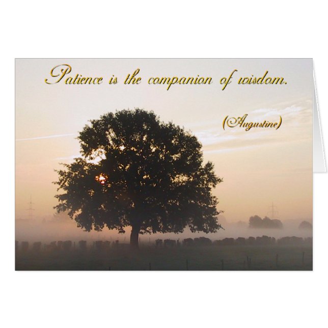 La patience est le compagnon de la sagesse (Devant horizontal)