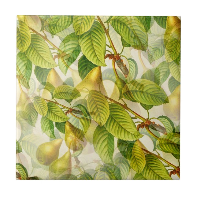 La Pera Pear Fliese (Vorderseite)