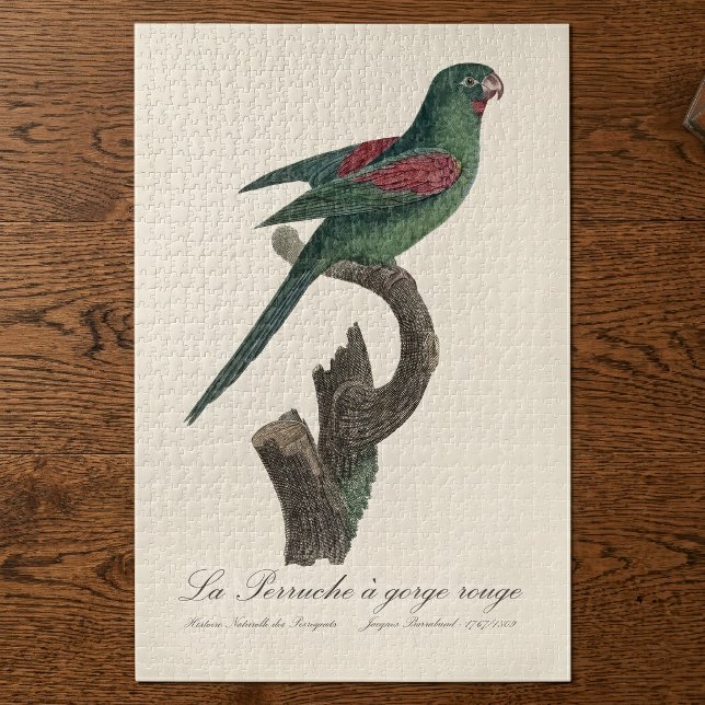 La Perruche a gorge rouge (Orange-Chinned Parakeet, Brotogeris jugularis. Jigsaw Puzzle)