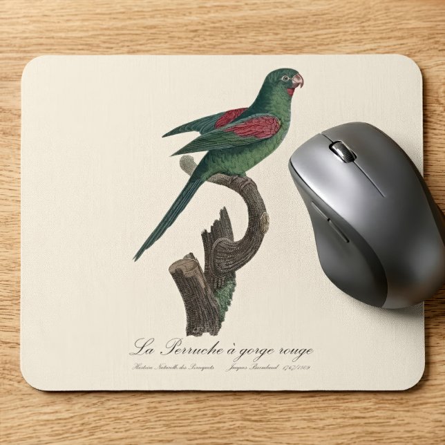 La Perruche a gorge rouge Mousepad (Orange-Chinned Parakeet, Brotogeris jugularis. Mouse Pad)