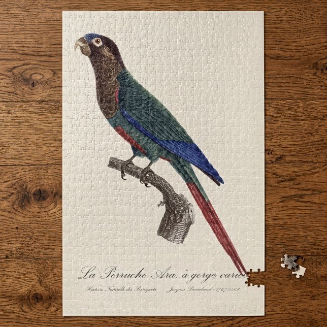La Perruche Ara, eine Schlucht (The Painted Parakeet, Pyrrhura Picta. Jigsaw Puzzle)