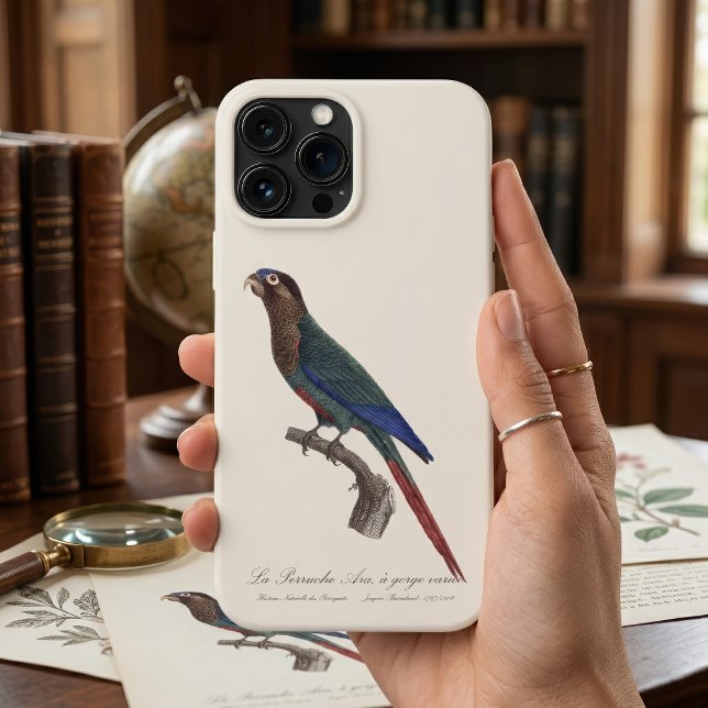 La Perruche Ara, eine Schlucht Case-Mate iPhone Hülle (The Painted Parakeet, Pyrrhura Picta. iPhone Case)