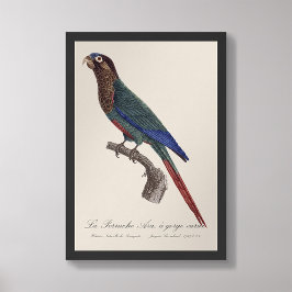 La Perruche Ara, eine Schlucht Fotodruck