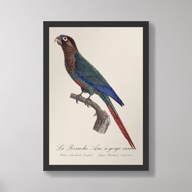 La Perruche Ara, eine Schlucht Fotodruck (Von Creator hochgeladen)