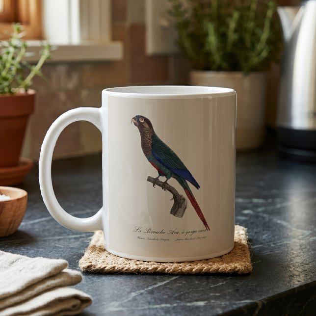 La Perruche Ara, eine Schlucht Kaffeetasse (The Painted Parakeet, Pyrrhura Picta. Coffee Mug)