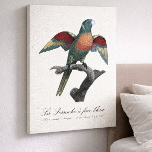 La Perruche, ein Bleistift Leinwanddruck