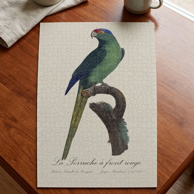 La Perruche - eine Vorfahrt (Orange-Fronted Parakeet, Eupsittula Canicularis. Jigsaw Puzzle)