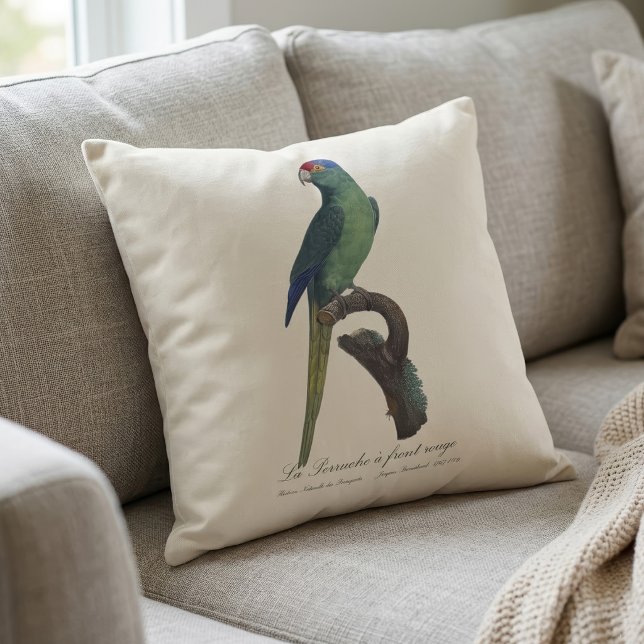 La Perruche - eine Vorfahrt Kissen (Orange-Fronted Parakeet, Eupsittula Canicularis. Throw Pillow)