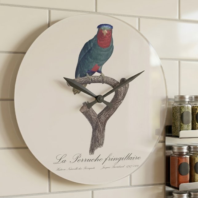 La Perruche fringillaire Große Wanduhr (Blue-Crowned Lorikeet, Vini Australis. Large Clock)