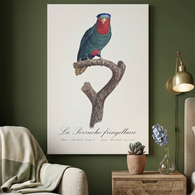 La Perruche fringillaire Leinwanddruck (Blue-Crowned Lorikeet, Vini Australis. Canvas Print)
