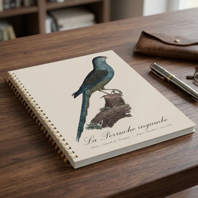 La Perruche ingambe Planer (Ground Parrot or Swamp Parrot, Pezoporus Wallicus. Planner)