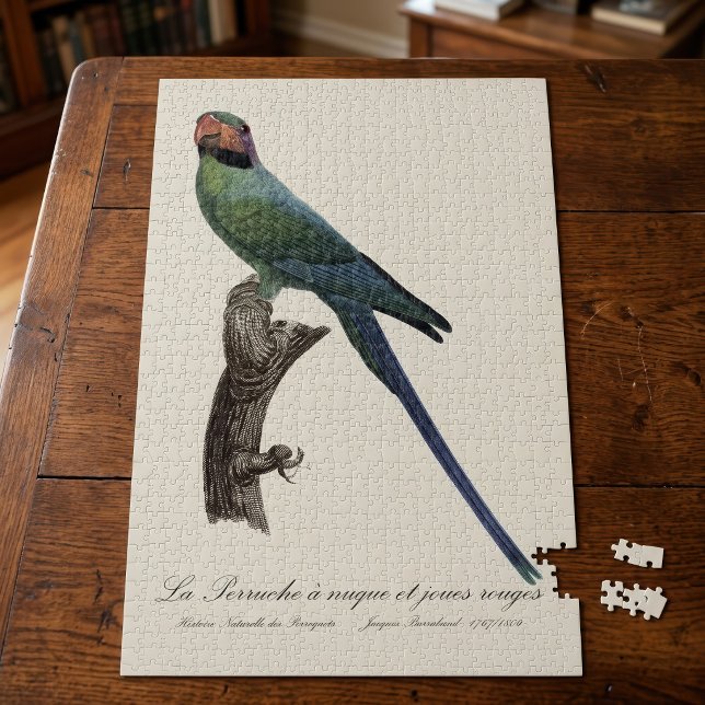 La Perruche ist ein einzigartiger Ort für Joues (Long-Tailed Parakeet, Psittacula Longicauda. Jigsaw Puzzle)