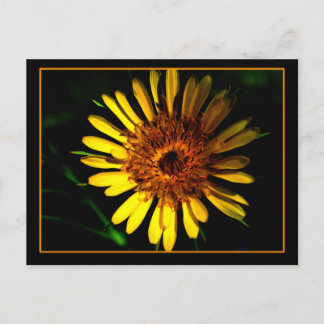 La place de la carte postale