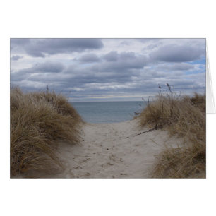 La plage de Deniseport