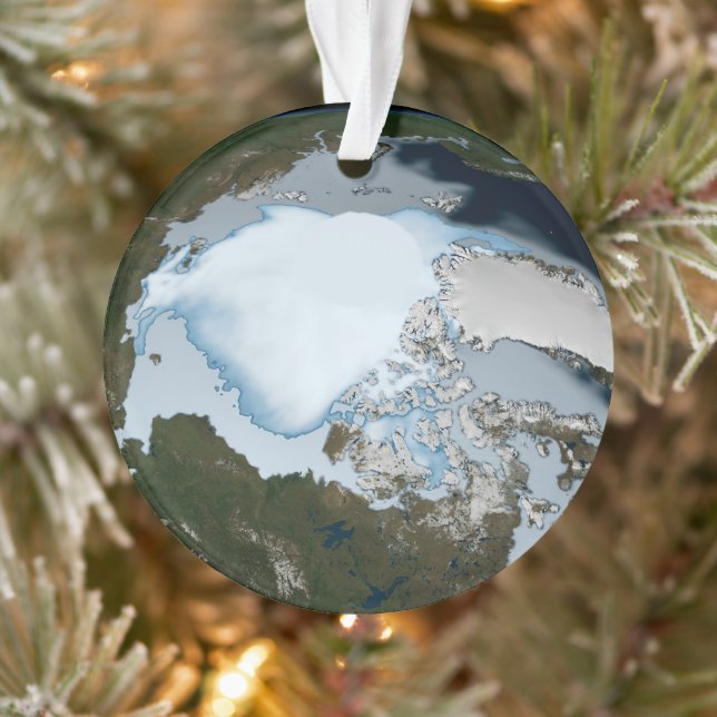 La Planète Terre Montre La Couverture De Glace De  (Arbre)