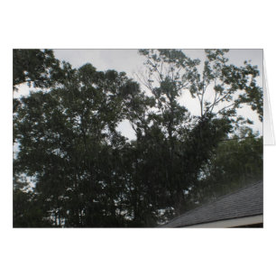 La pluie de pluie partent