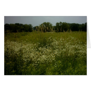 La prairie fleurit la carte