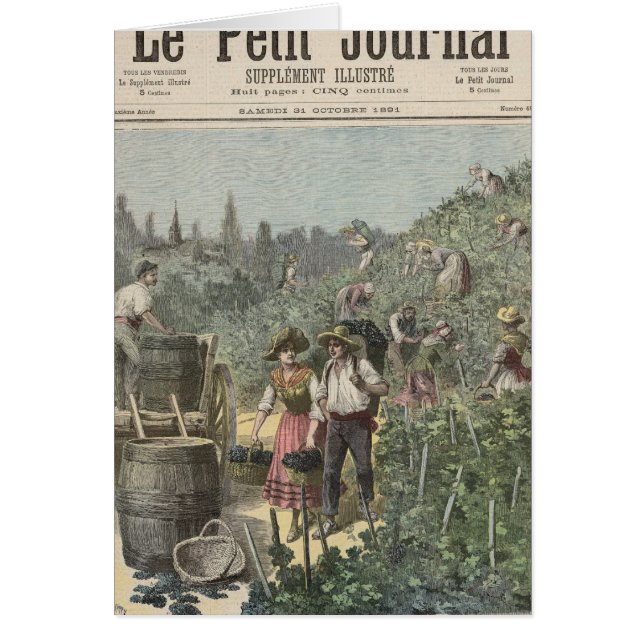 La récolte de vin (Devant)