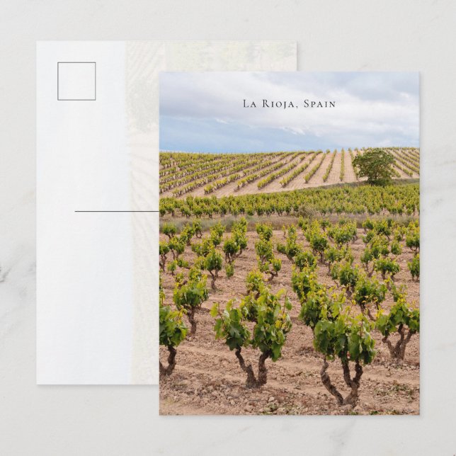 La Rioja, Spain Vineyard Landscape Postkarte (Vorne/Hinten)
