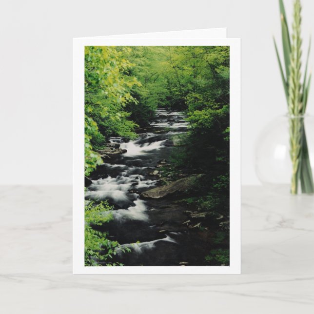 La rivière chauve cascade la carte de voeux (Devant)