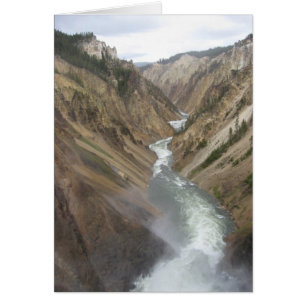 La rivière Yellowstone