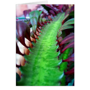 La route moins a voyagé