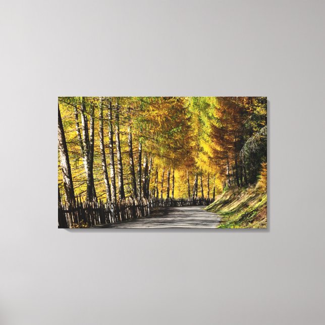 La route vers l'automne imprimé toile (Recto)