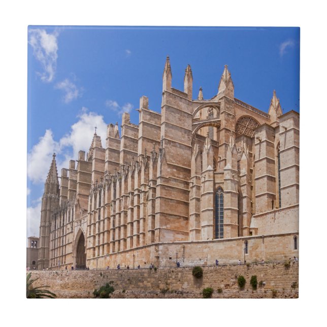 La Seu, die Kathedrale von Palma de Mallorca - Spa Fliese (Vorderseite)