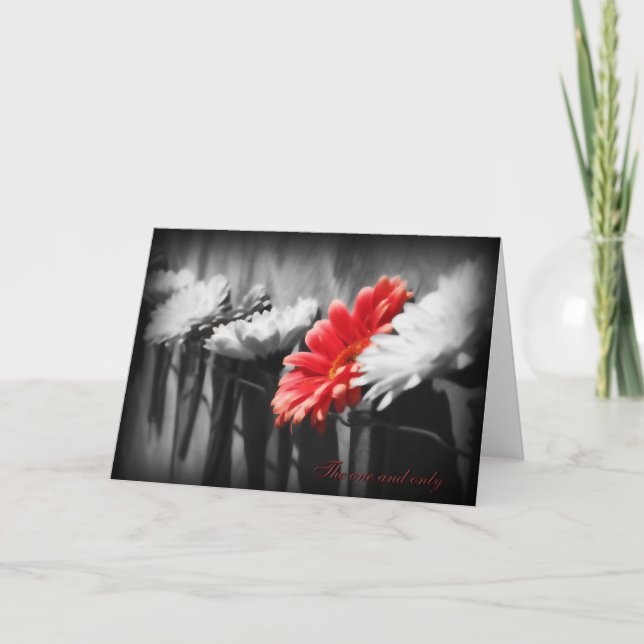 La seule et unique carte de voeux (Devant)