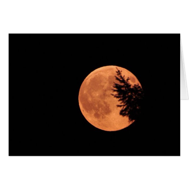 La Super Lune ! (Devant horizontal)