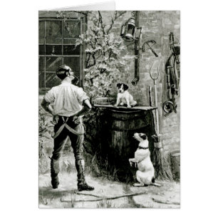 La survie du plus convenable