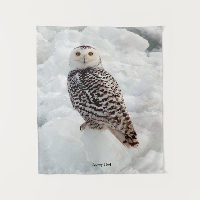 La tapisserie de Snowy Owl (Devant)