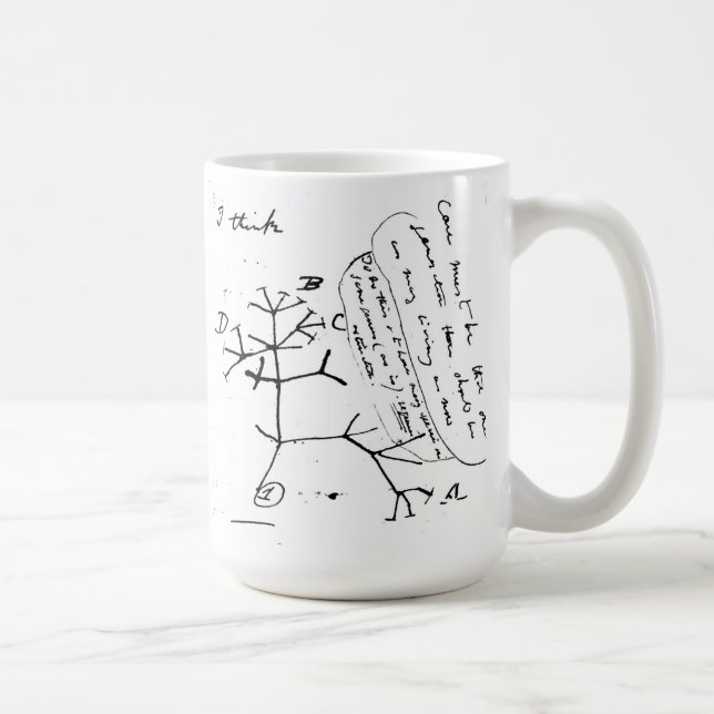 La tasse de Darwin (Droite)